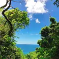 斎場御嶽の写真_147240