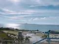 沖縄美ら海水族館の写真_147257