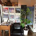 Cafe Bar アルジャーノンの写真_147551