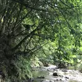 【閉業】滝流しそうめんの写真_147593