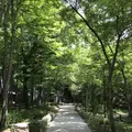 軽井沢高原教会の写真_147604