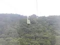 まやビューライン夢散歩の写真_147768
