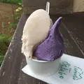 麓ジェラート fumoto gelatoの写真_147842