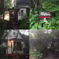 アフガンの写真_147855