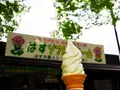 花はす公園の写真_148043
