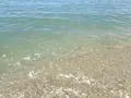 阿万海岸海水浴場の写真_148174