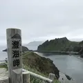 礼文島の写真_148266