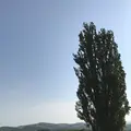 パッチワークの路の写真_148297