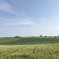 パッチワークの路の写真_148300