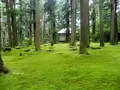 平泉寺白山神社の写真_148421
