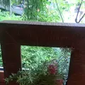 ハルニレテラスナチュール（ＮＡＴＵＲ）軽井沢の写真_148494