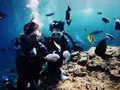 青の洞窟の写真_148669