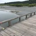 蓬莱橋の写真_148830