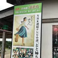 蓬莱橋の写真_149129