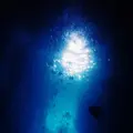 マリン・サポート・タイド（ＭＡＲＩＮＥ・ＳＵＰＰＯＲＴ・ＴＩＤＥ）の写真_149160