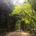 下鴨神社（賀茂御祖神社）の写真_149364