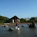 中井中央公園の写真_149587