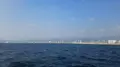 神戸港中突堤中央ターミナルかもめりあの写真_149600