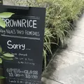 ブラウンライス（BROWN RICE）の写真_149619