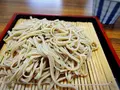 諏訪そば打ち道場の写真_149629