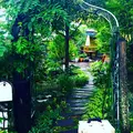 八ヶ岳ベースキャンプ BaseCampの写真_149632