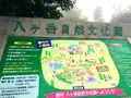 八ヶ岳自然文化園の写真_149639