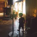 森の家の写真_149695