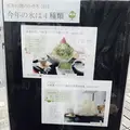 表参道 茶茶の間の写真_149763