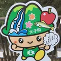 袋田の滝の写真_149812