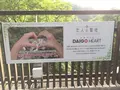 袋田の滝の写真_149813
