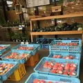 だいご味らんどの写真_149840