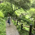 龍門の滝の写真_149843