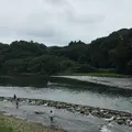 大瀬観光やなの写真_149850