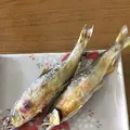 大瀬観光やなの写真_149853