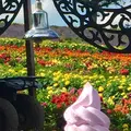 ぜるぶの丘の写真_149938