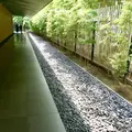 根津美術館の写真_150675