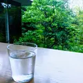根津美術館の写真_150677