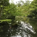 根津美術館の写真_150680