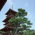 薬師寺の写真_150778
