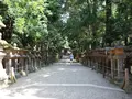 春日大社の写真_150779