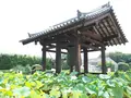 薬師寺の写真_150971