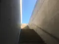 本福寺の写真_151342