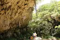 斎場御嶽の写真_151380