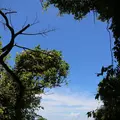 斎場御嶽の写真_151383