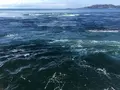 小型水中観潮船 アクアエディの写真_151511