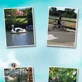 淡路ファームパーク イングランドの丘の写真_151535