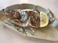 北志賀フィッシングパーク清流の里の写真_151915