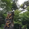 紀元杉の写真_152102