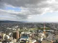 東大阪市役所の写真_152384