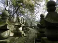 松屋寺の写真_152443